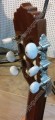Guitarra maple brillante foto6
